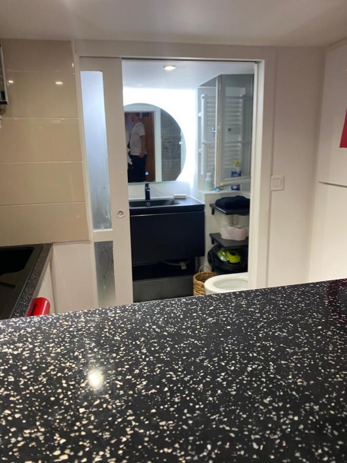 Petit Appartement Cosy Toulouse Eksteriør billede